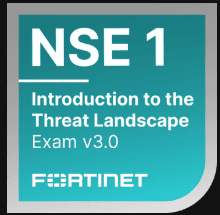NSE 1